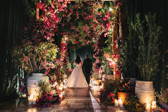 The Wedding Beneath the Bougainvilleas