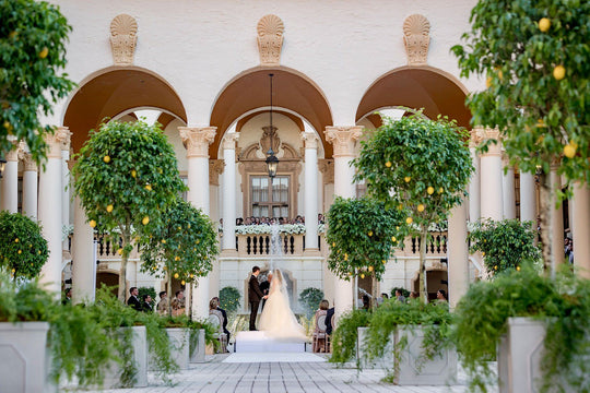 Romantic Wedding Ceremony in the Lemon Grove